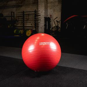 Купить Гимнастический мяч Yousteel Hard 55см в Новомичуринске 
